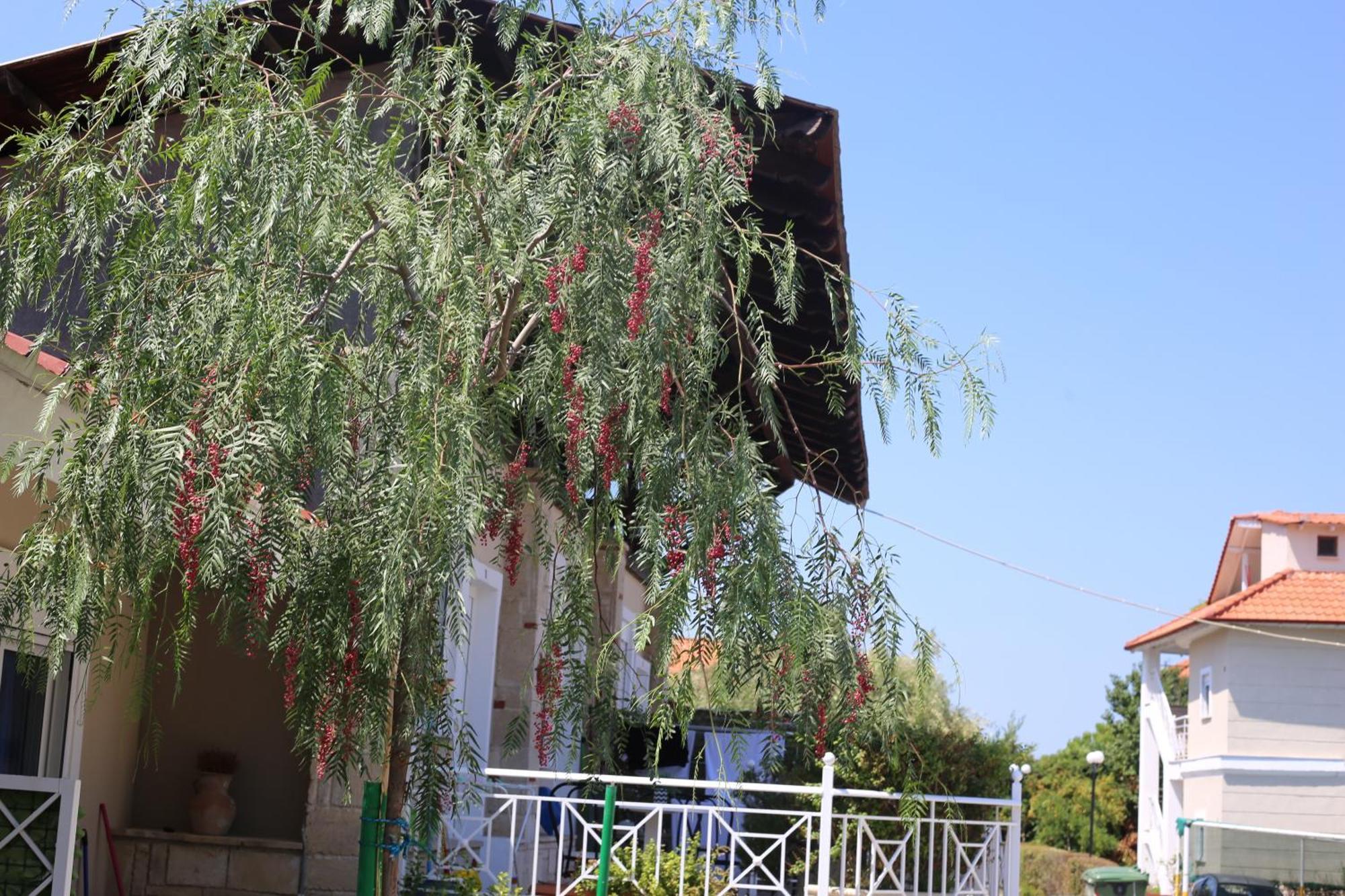Golden Residence Family Resort Pefkochori Luaran gambar
